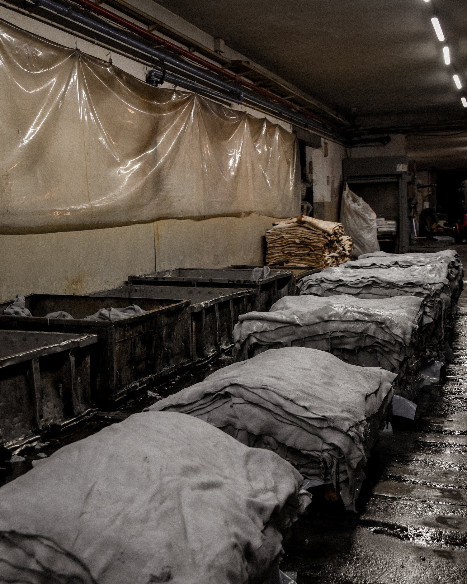leather tannery in tuscany, raw hides