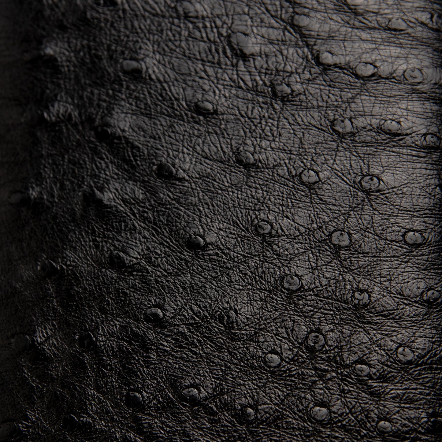 LuxeClasp Clutch - Pelle di Struzzo Edizione Limitata